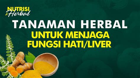 Manfaat Tanaman Alami Ini Bisa Digunakan Untuk Menjaga Kesehatan Hati