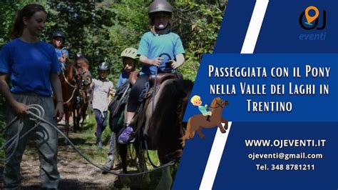 Passeggiata Con Il Pony Nella Valle Dei Laghi In Trentino Oj Eventi