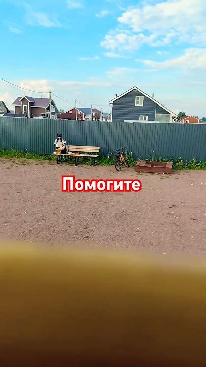 снюсоеды - YouTube