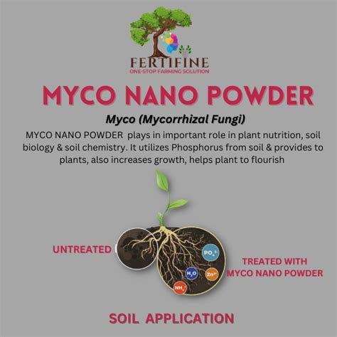 MYCO NANO POWDER