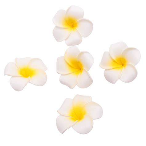 Pcs White Foam Hawaiian Frangipani Artificial Plumeria Flower