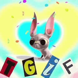 Friday Funny Tgif GIF | GIFDB.com