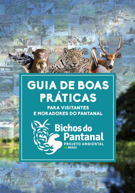 Bichos Do Pantanal Projeto Ambiental