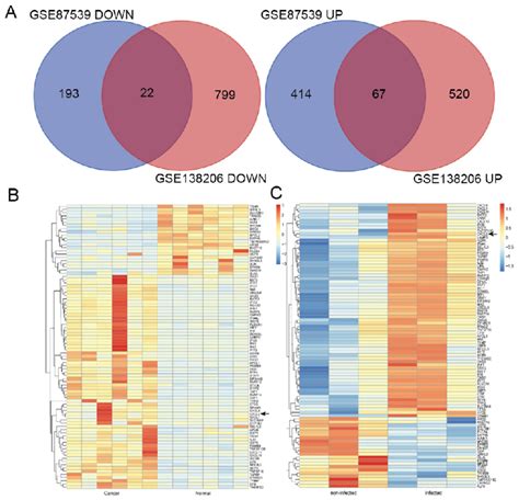 Venn Diagrams And Heat Map Of Degs Cxcl Was One Of The Degs Included