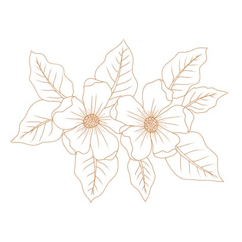 Flower Drawing Line Drawing Png Aesthetic Backgrounds Free The Best