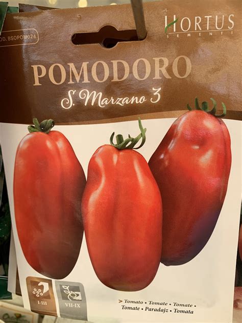 Pomodoro San Marzano Vivaio Menzani