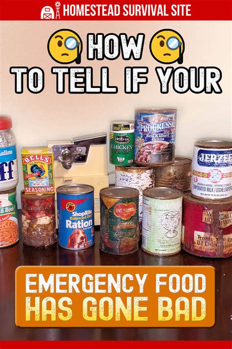 How To Tell If Your Emergency Food Has Gone Bad