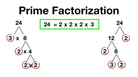 Use Factor Tree To Find Prime Factorization