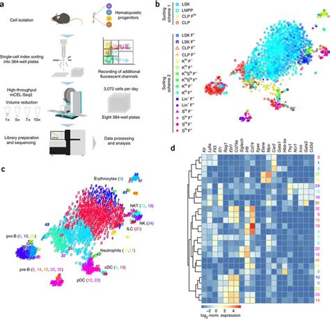 FateID Infers Cell Fate Bias In Multipotent Progenitors From Single