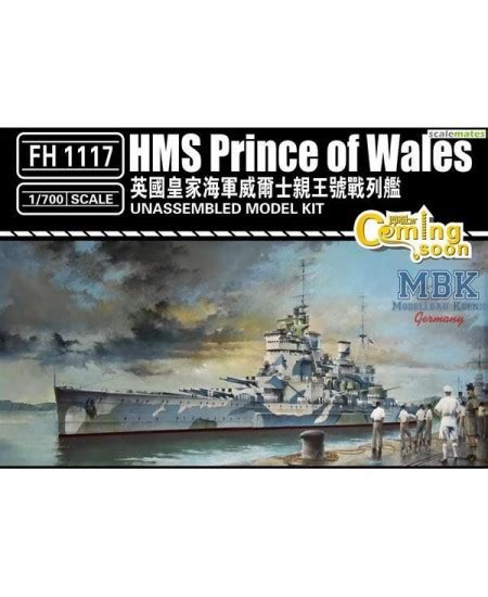 Maqueta Hms Pr Ncipe De Gales Flyhawk Con Hobbies