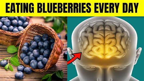 What Happens To Your Body When You Eat Blueberries Every Day YouTube