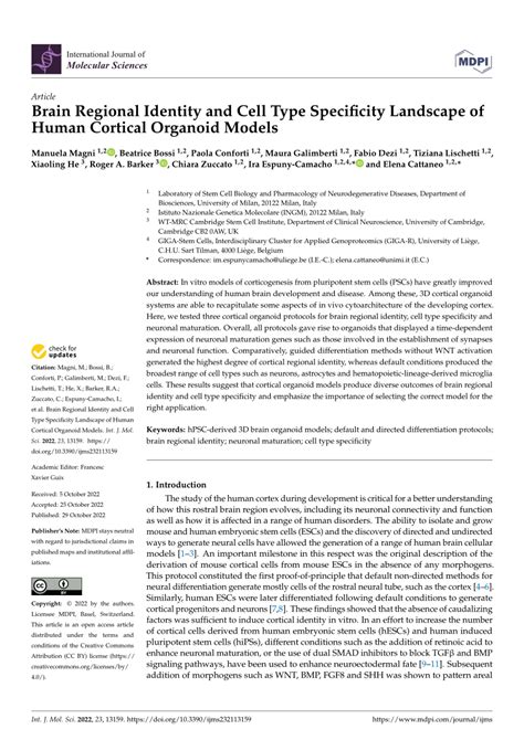 Pdf Brain Regional Identity And Cell Type Specificity Landscape Of