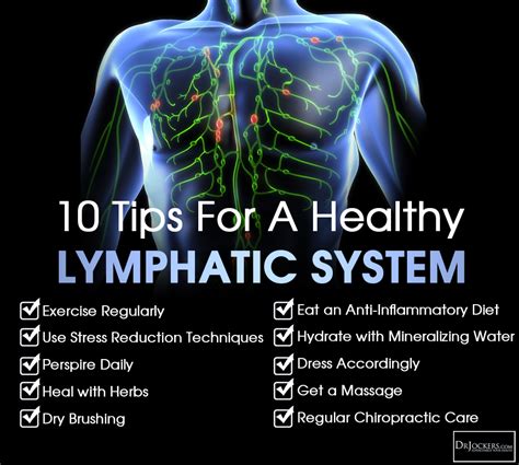 10 Ways To Improve Your Lymphatic System Healthy Lymphatic System Lymphatic