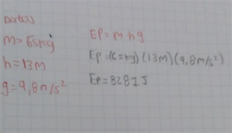 Problema Calcula La Energ A Potencial De Un Saltador De Trampol N Si