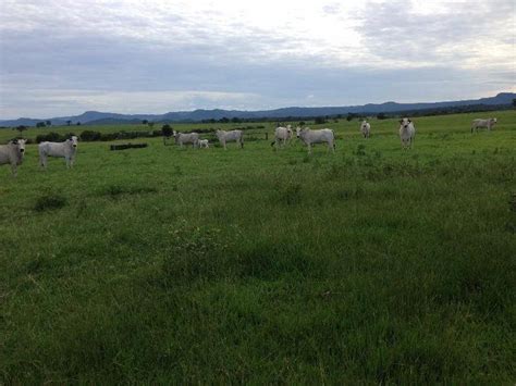 Fazenda Venda Em Bonito Ms Hectares Dupla Aptid O