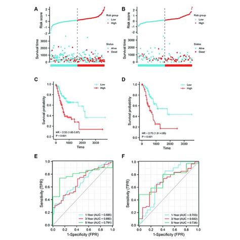 Messenger Rna Mrna Lncrna Co Expression Network A Mrna Lncrna