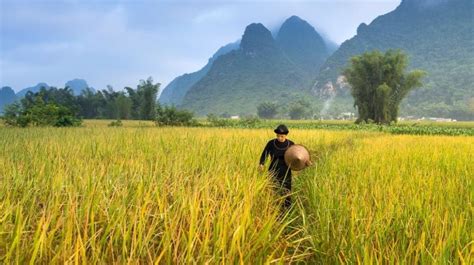 Siapa Bilang Jadi Petani Gak Keren? Bercocok Tanam Zaman Sekarang Juga ...