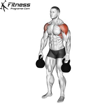 The Best Shoulder Exercises Workout Planner