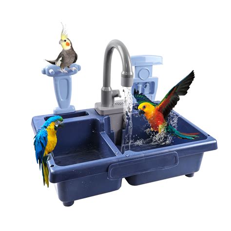 10 Best Cockatiel Bird Baths: A Comprehensive Guide - Hummingbirds Plus