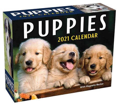 Andrews Mcmeel Puppies Mini Day To Day Calendar