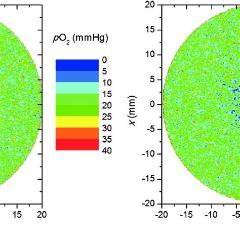 Oxygen Tension Distributions In The Well Oxygenated Tumor Left And In