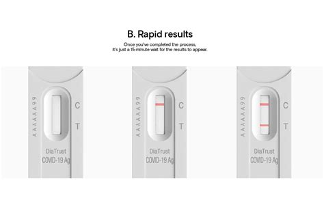 Amazon Celltrion DiaTrust COVID 19 Ag Rapid Test 1 Pack 2 Tests