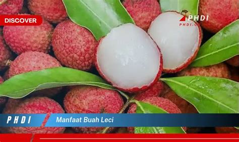 Temukan 7 Manfaat Buah Leci Yang Bikin Kamu Penasaran