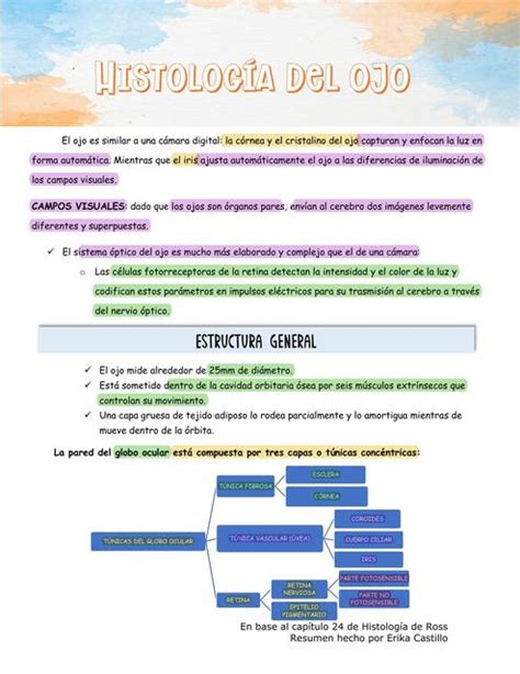 Histología del Ojo Claudineia De uDocz