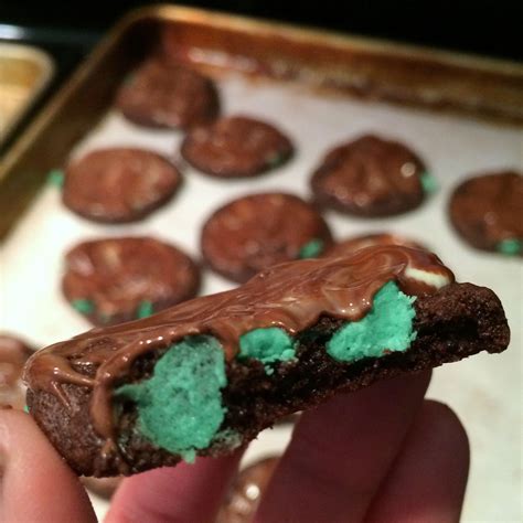 Thin Mints Girl Scout Cookies Copycat Recipe Rae Gun Ramblings