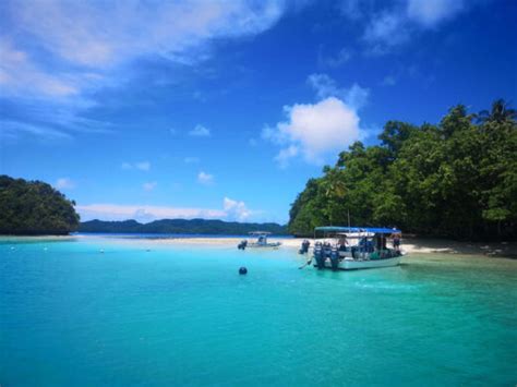 Everything You Need To Know About Scuba Diving In Palau