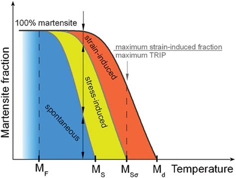 Thermodynamicmechanical Modeling Of Straininduced Martensite