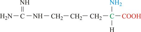 Arginine @ Chemistry Dictionary & Glossary