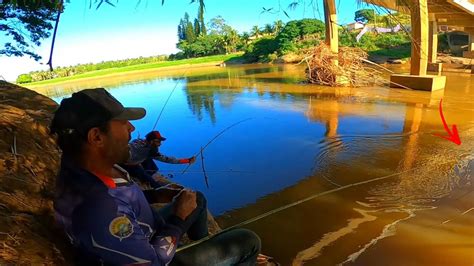 Aqui Neste Lugar Nunca Vi Disso Encher Saco De Peixes Brutos Na Varinha