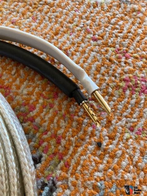 Analysis Plus Big Silver Oval Speaker Cable Ft Pair Photo