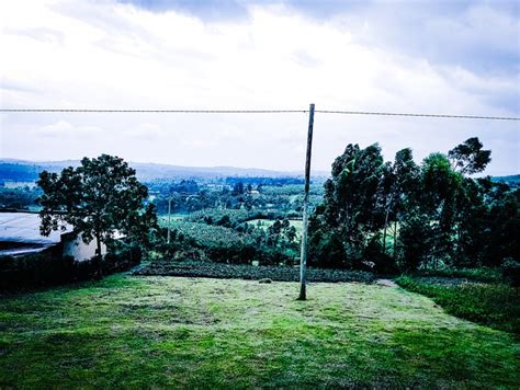 Land Green View Low - Free photo on Pixabay - Pixabay