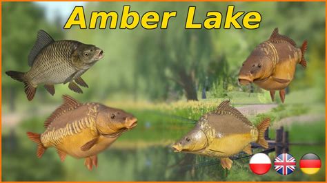 Carp Amber Lake Russian Fishing Rf Spot Mjplay Youtube