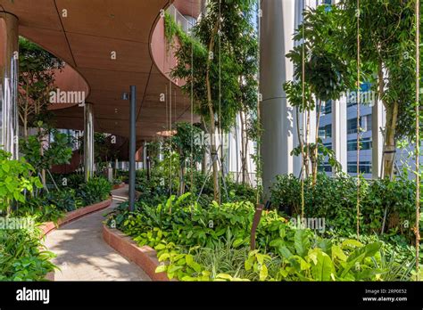 Biophilic Design Green Roof Hi Res Stock Photography And Images Alamy