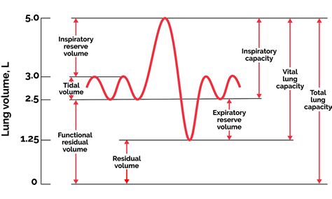 Pre Oxygenation