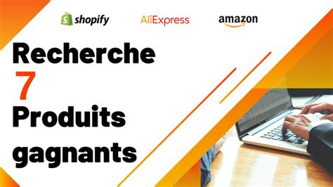 Je Vais Trouver 7 Produits Gagnants Dans Votre Niche Par Ludoj