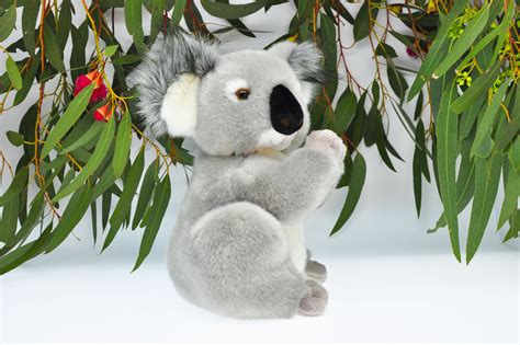 Koala Stuffed Animal Stuffed Koala Bear Koala Soft Toy - Etsy