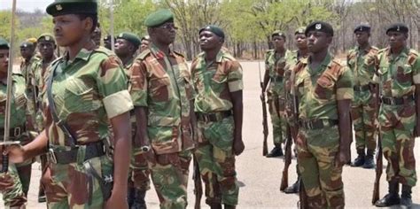 Zimbabwe Army Recruitment 2024 Application Portal | www.zna.gov.zw - Ediscoverhub.com