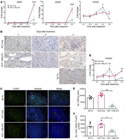 Jci Hdaci Promotes Inflammatory Remodeling Of The Tumor