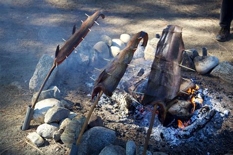 Free Picture Native American Cooking Meat Fish