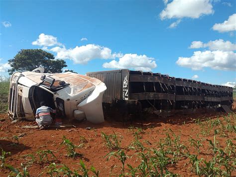 Carreta Carregada De Bovinos Tomba E Deixa Motorista Ferido Pr Ximo A