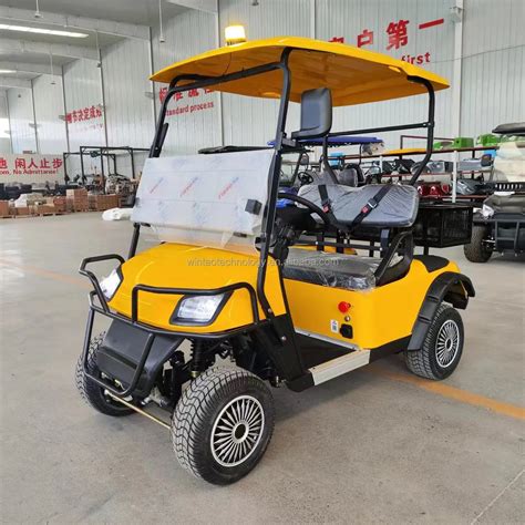 Wintao 2024 Club Golf Cart Lifted 2 Passenger Golf Cart With Cargo