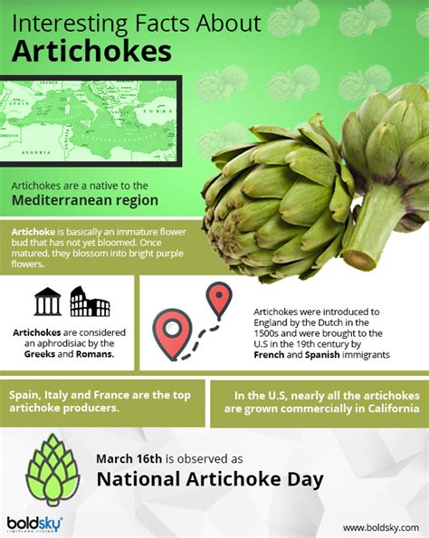 Amazing Nutritional Health Benefits Of Artichokes Boldsky