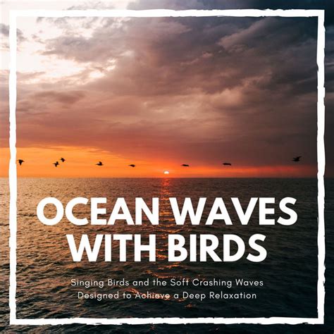 Ocean Waves With Birds Singing Birds And The Soft Crashing Waves