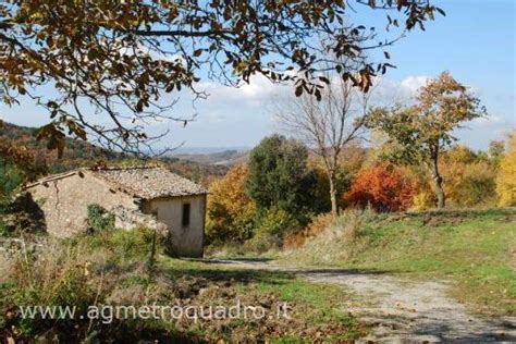 Rustico Casale Corte In Vendita A Castiglione D Orcia Annunci Rustico