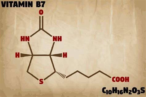 Biotinylation Kit - Sepmag