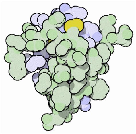 Intermediate Physics For Medicine And Biology Insulin